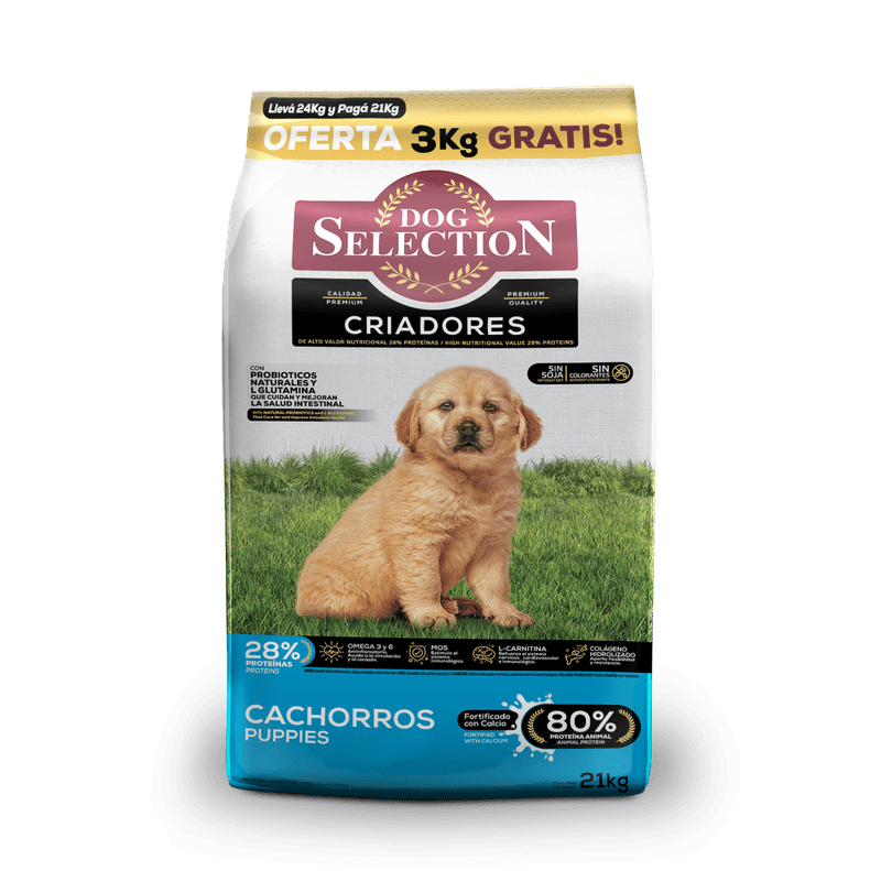 Royal Canin Mini Adult